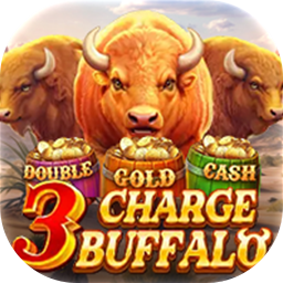 3Charge Buffalo